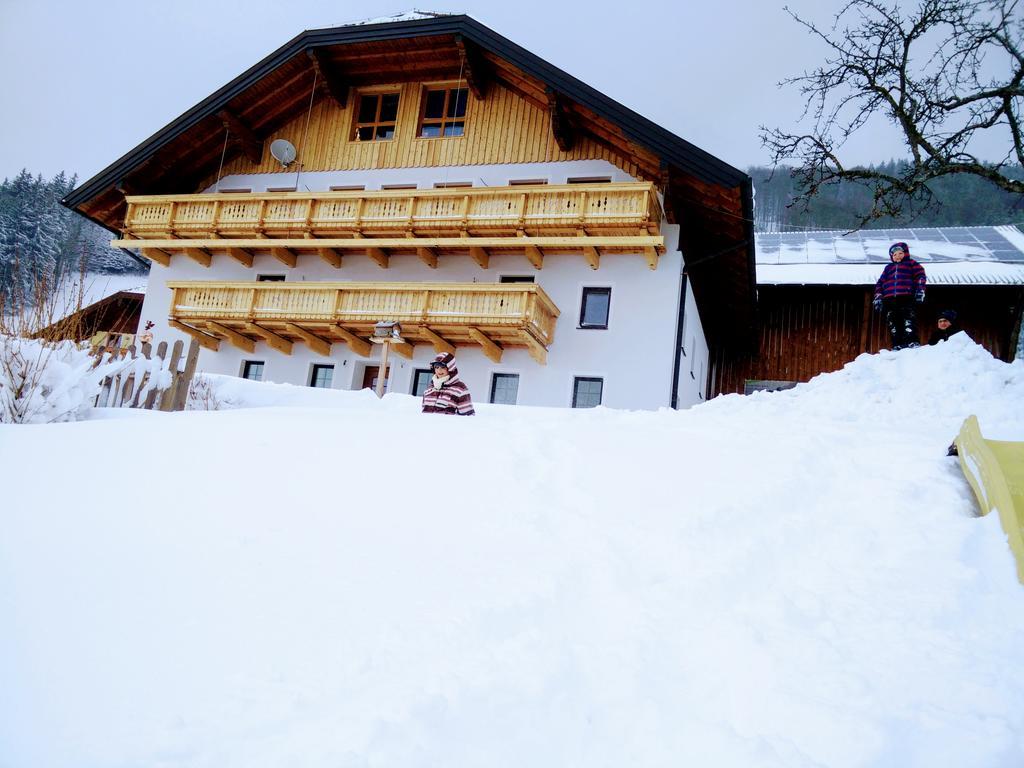 Panoramahof Manzberg Apartamento Mondsee Exterior foto