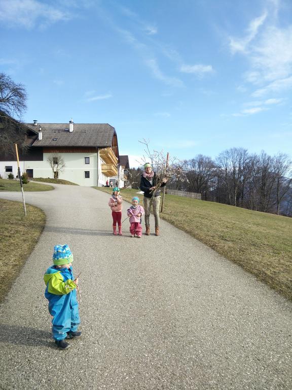 Panoramahof Manzberg Apartamento Mondsee Exterior foto