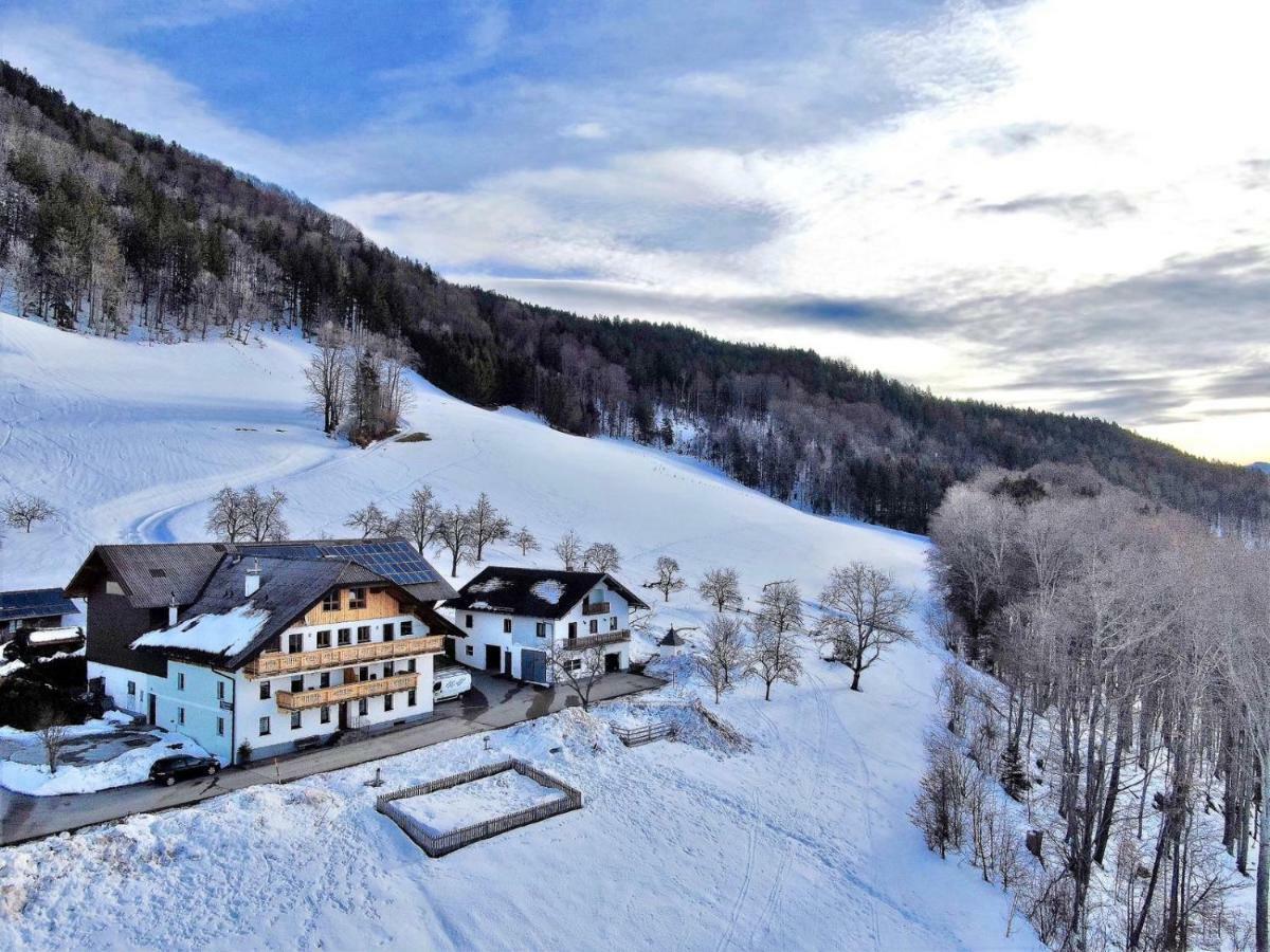 Panoramahof Manzberg Apartamento Mondsee Exterior foto